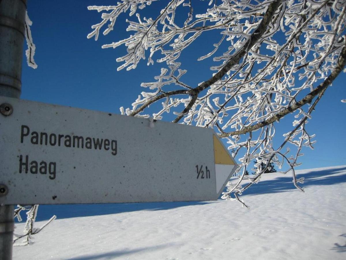 Haus Panorama Leilighet Oy-Mittelberg Eksteriør bilde